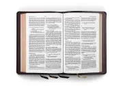 ESV Heirloom Bible, Omega Edition (Wellington Leather, Brown)