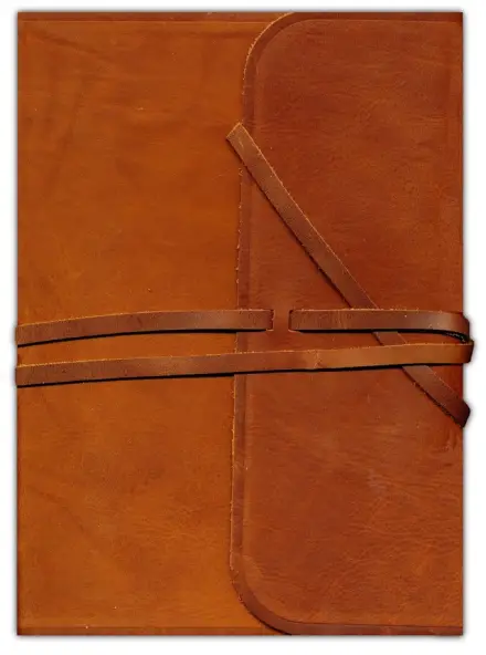 ESV Single Column Journaling Bible, Large Print