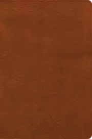 CSB Giant Print Single-Column Bible, Burnt Sienna LeatherTouch