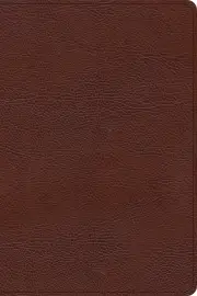 CSB Oswald Chambers Bible, Brown Bonded Leather